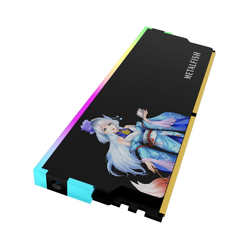METALFISH DRAM Dissipatore di  - Ddr5 Rgb Ram recensione e prezzo