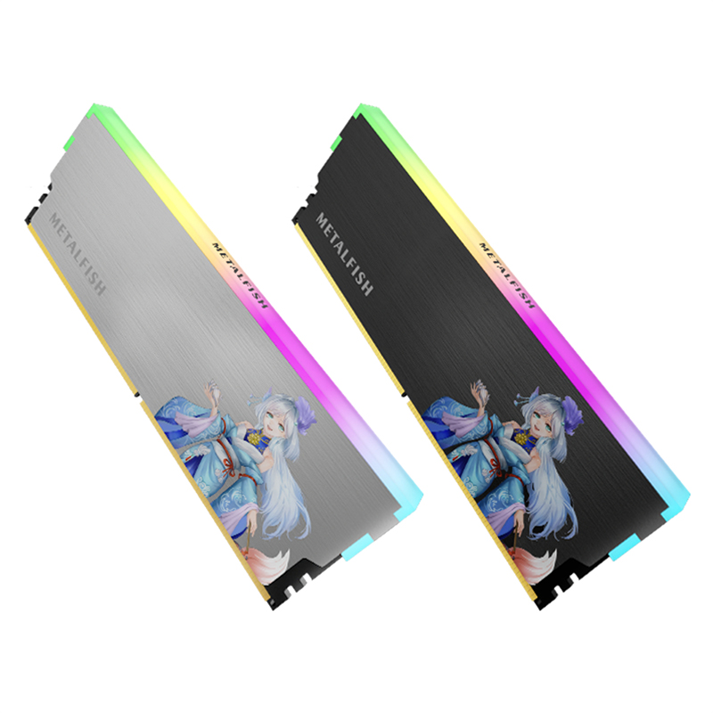 METALFISH DRAM Dissipatore di  - Ddr5 Rgb Ram recensione e prezzo